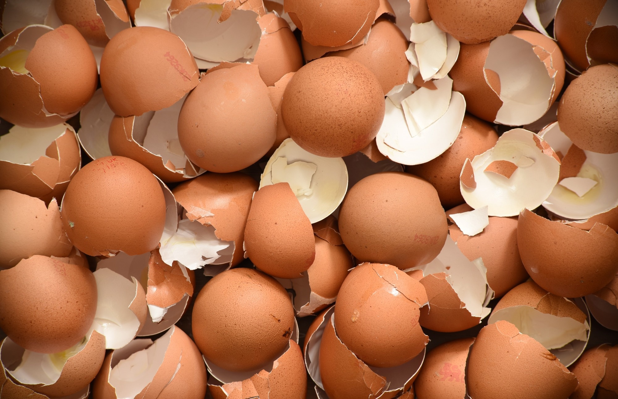 Health benefits of upcycled foods