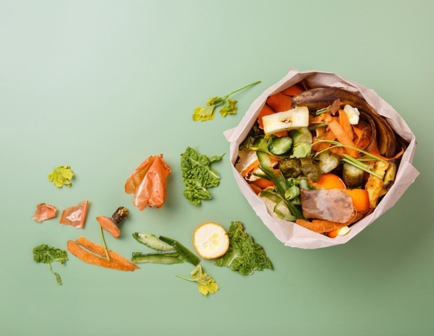 Upcycled Food Ingredients: Nutrition, Safety, and Sustainability