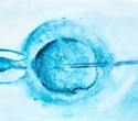 Long-Term Effects of IVF on Women’s Health: Cancer Risk, Heart Disease, and Menopause