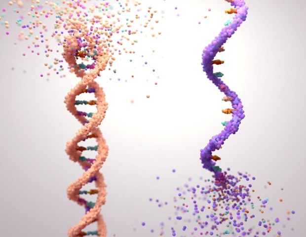 How Diet Influences Gene Expression Through Epigenetic Mechanisms