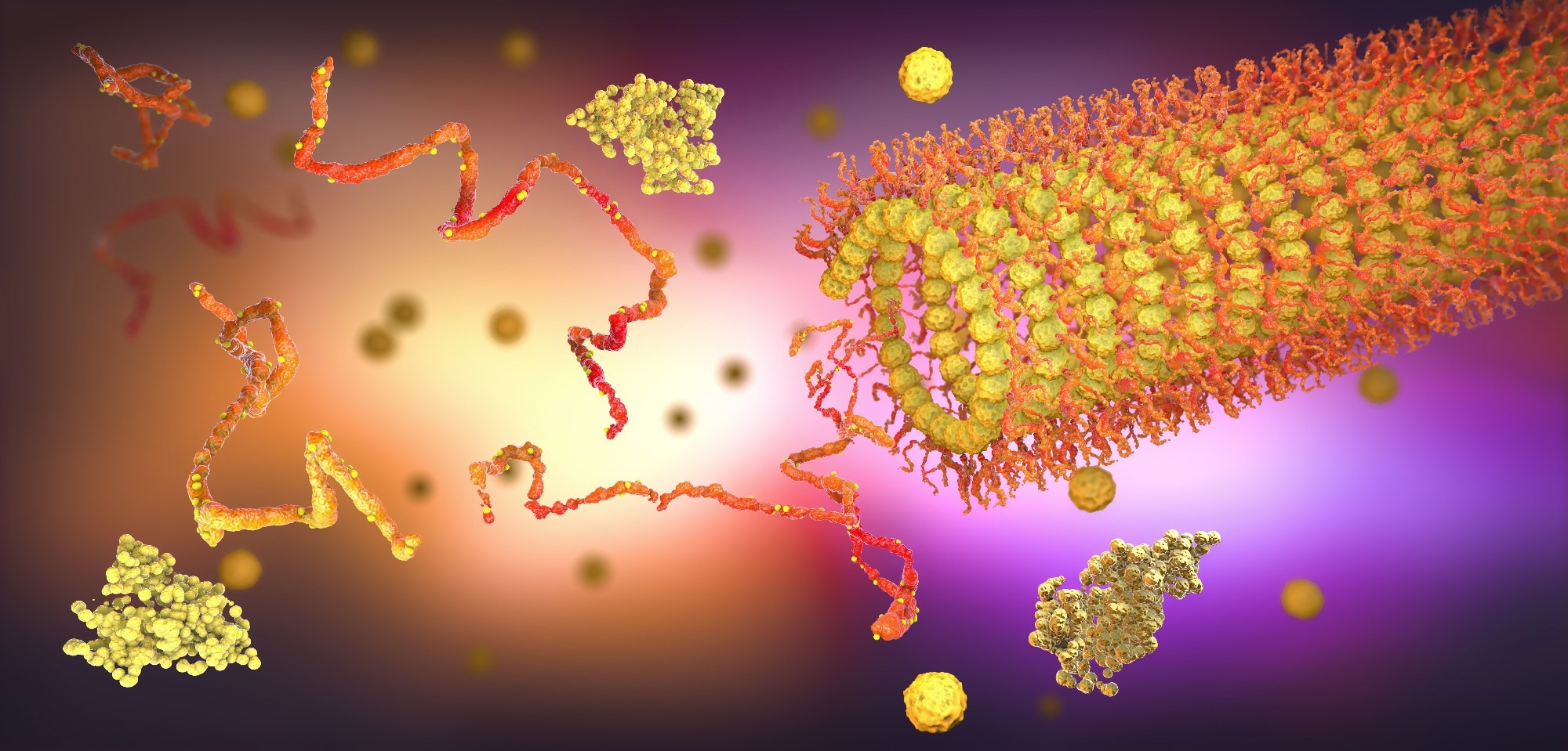 Protein enzymes fold into their structure to fulfill their function - 3d illustration