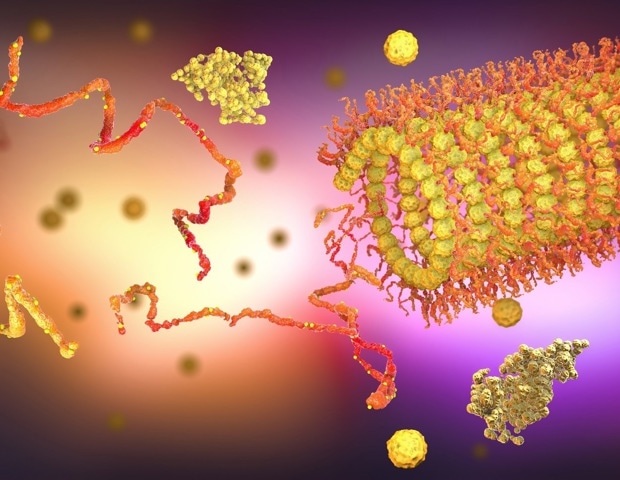 What Are Proteoforms? Understanding Protein Diversity in Modern Proteomics