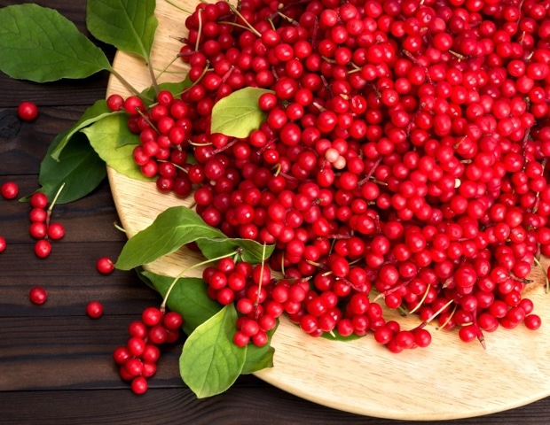 Schisandra Berry Benefits, Side Effects, Dosage, and Uses