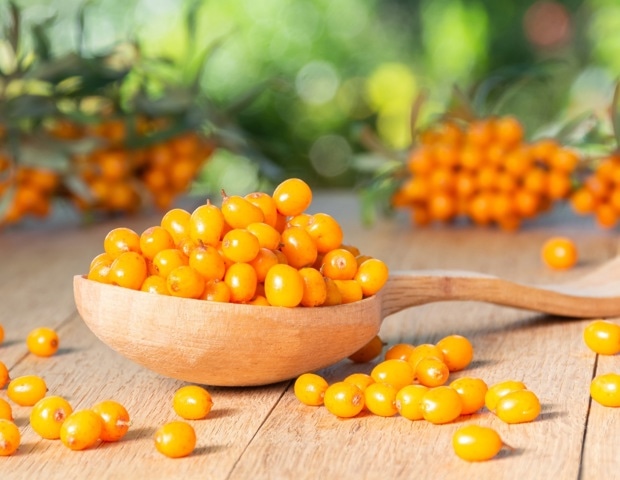 Sea Buckthorn Benefits for Skin, Heart Health, and Inflammation Explained by Science