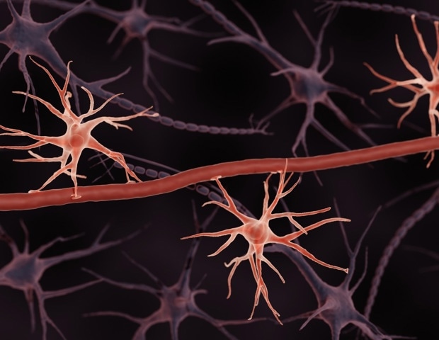 Oligonucleotide Delivery Across the Blood Brain Barrier