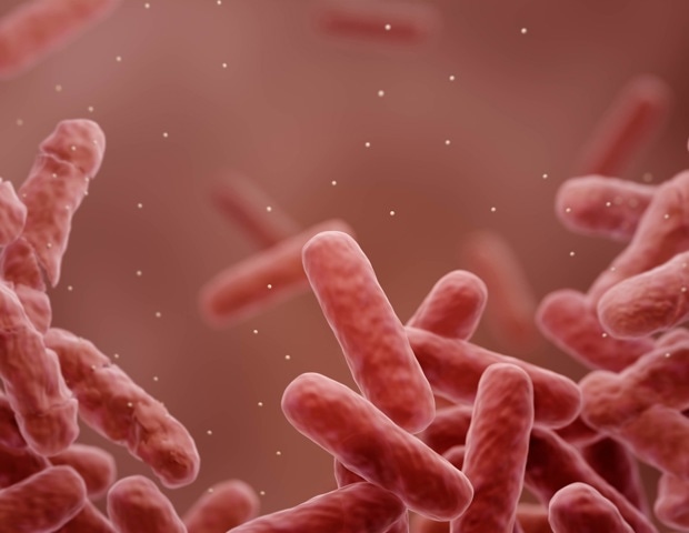 Antibiotic Persistence Explained: Why Some Bacteria Survive Antibiotics