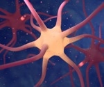What Are Neuropeptides and Why Are They Important?