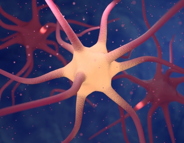 What Are Neuropeptides and Why Are They Important?