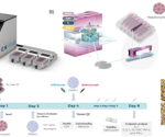 Modeling immune-driven hepatotoxicity using a liver microphysiological platform