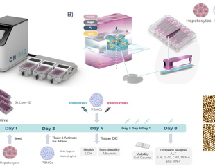 Modeling immune-driven hepatotoxicity using a liver microphysiological platform