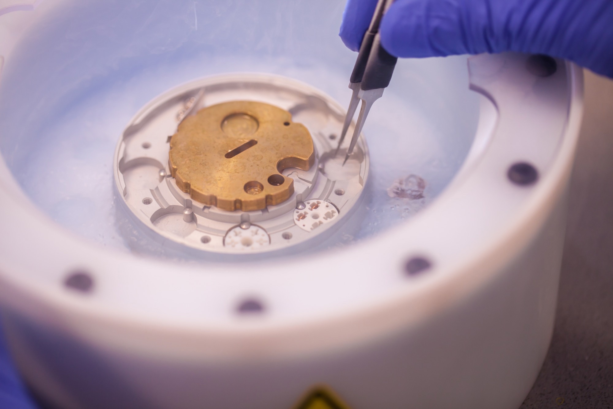 Preparing cryo-electron microscopy grid sample in liquid nitrogen with protective gloves