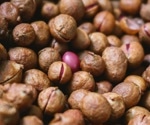What Are the Health Benefits of Bambara Groundnut?