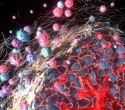 The Tumor Microenvironment and Cancer Therapy