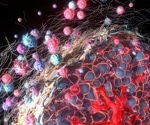 The Tumor Microenvironment and Cancer Therapy