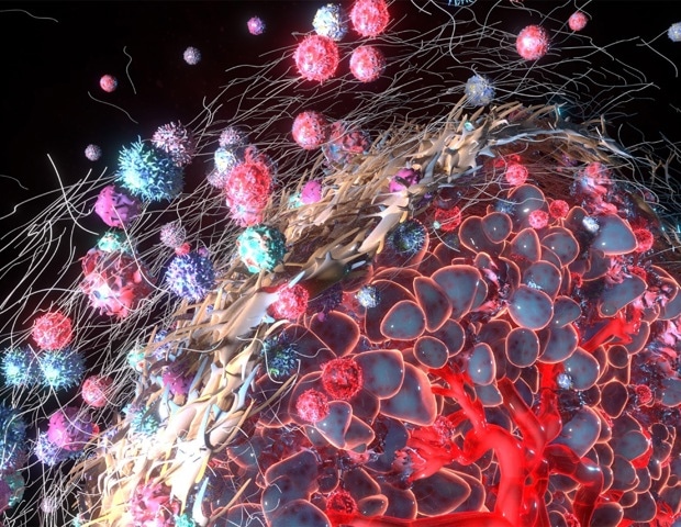 The Tumor Microenvironment and Cancer Therapy