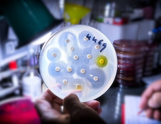 How Soil Bacteria Could Help Solve Antibiotic Resistance