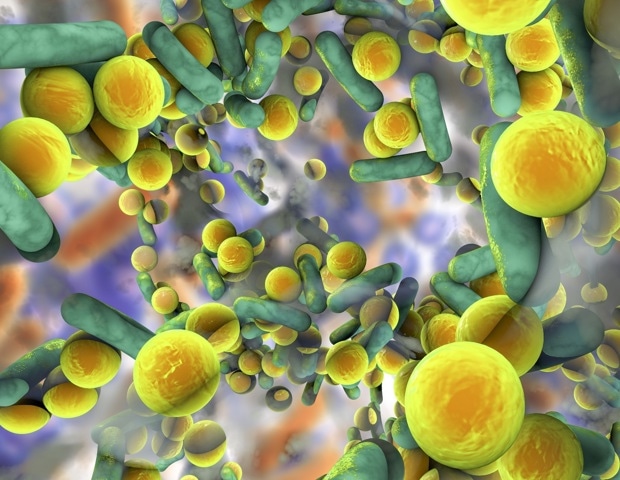 Antibiotic Resistance vs. Antibiotic Tolerance: What is the Difference?