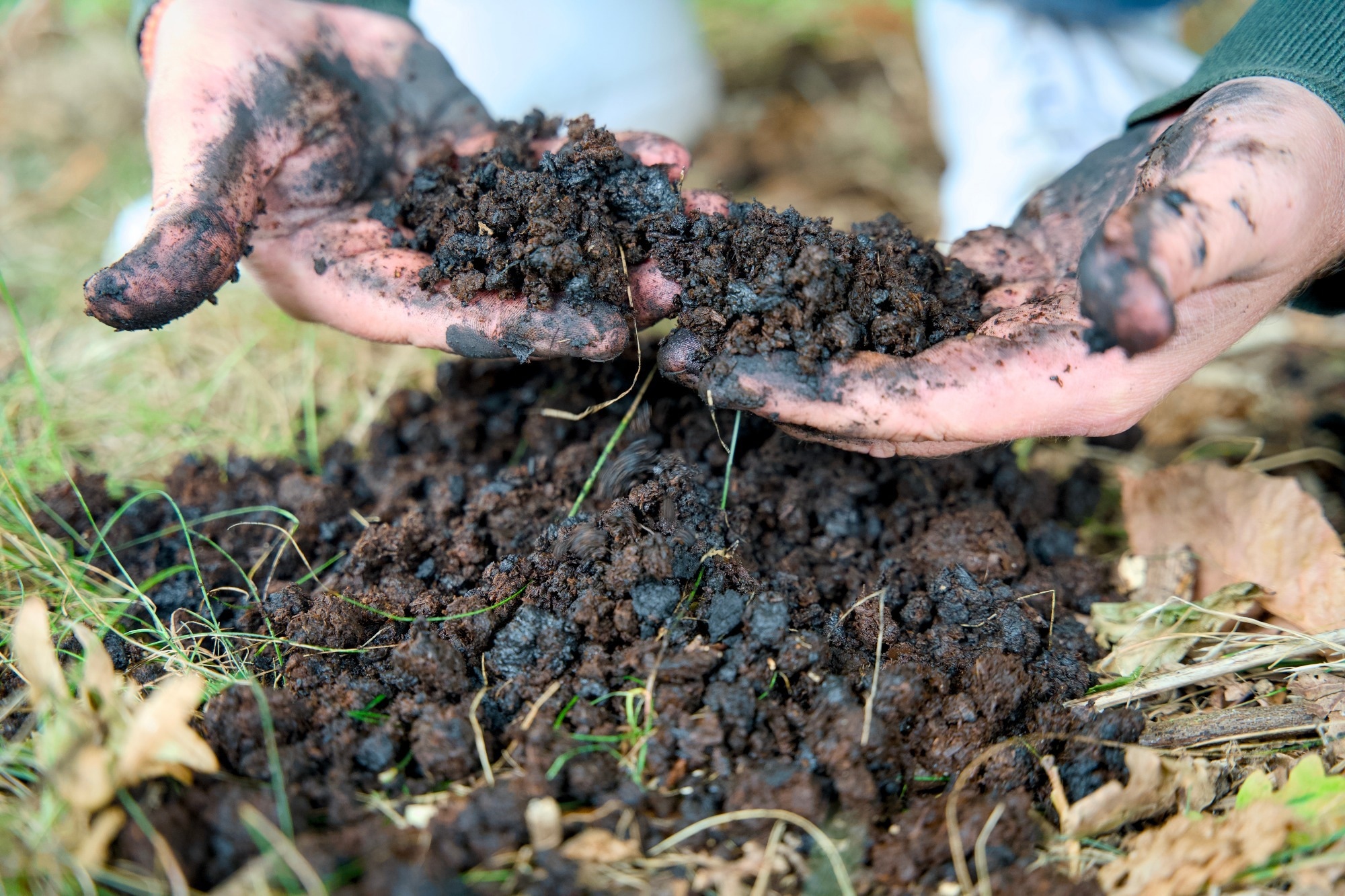 Hands holding dark, clumpy biochar or soil outdoors, showing its coarse texture and organic composition against a natural ground background.