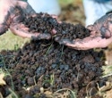 How Engineered Biochar Improves Microplastic Removal