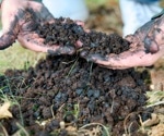 How Engineered Biochar Improves Microplastic Removal