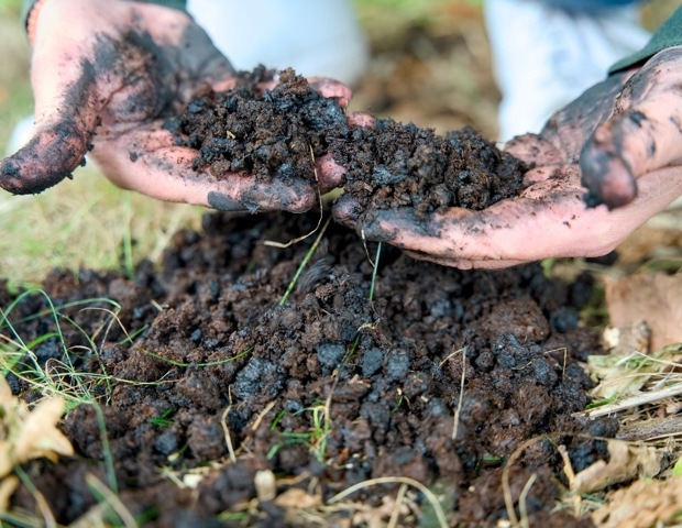 How Engineered Biochar Improves Microplastic Removal