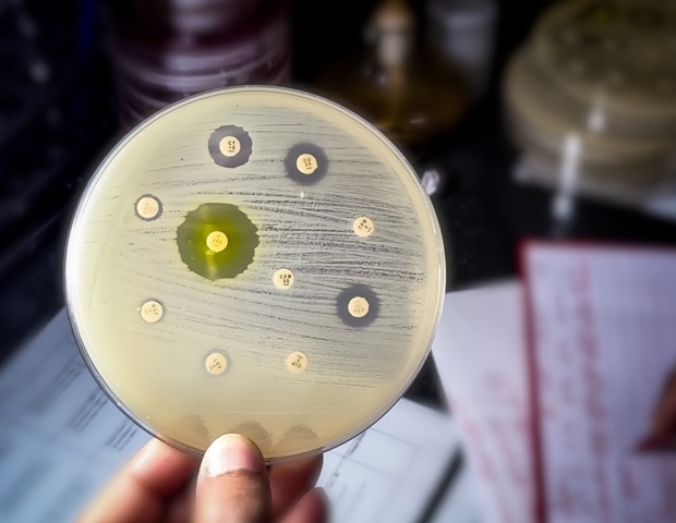 What are ESKAPE Pathogens and Why are They So Dangerous?