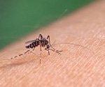How In Vitro Models Are Transforming Drug Discovery in Malaria