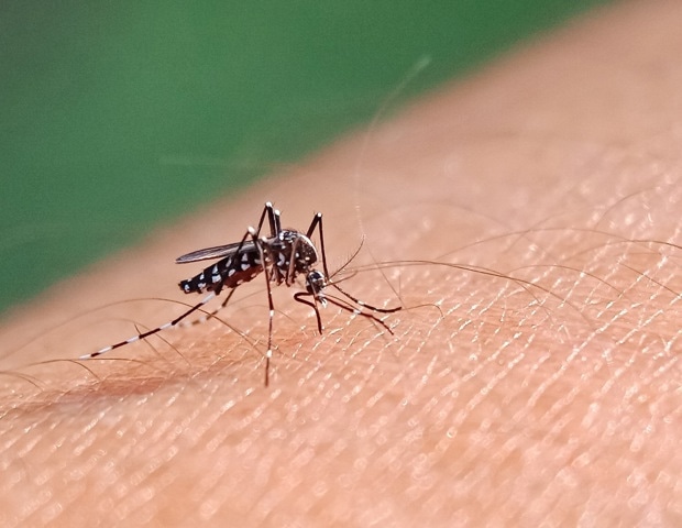 How In Vitro Models Are Transforming Drug Discovery in Malaria