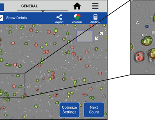 Machine learning enables fast, accurate hepatocyte cell counting