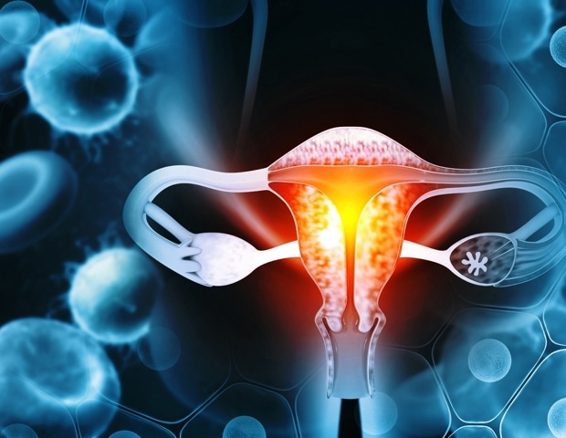 How Endometrial Health Affects Women Beyond Fertility