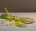 What is Lemongrass? Bioactive Compounds, Uses, Benefits, and Safety