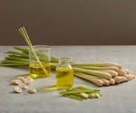 What is Lemongrass? Bioactive Compounds, Uses, Benefits, and Safety