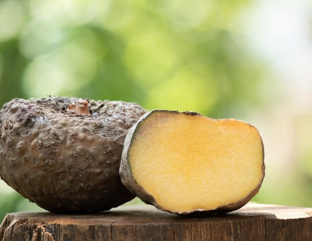 Konjac Glucomannan for Weight Loss and Blood Sugar Control