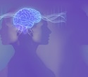 Do Hormones Determine Sex Drive and Sexual Orientation?