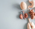 Xenotransplantation Explained: How Animal Organs Could Transform Medicine