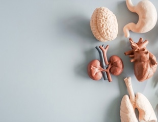 Xenotransplantation Explained: How Animal Organs Could Transform Medicine