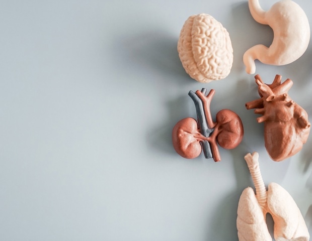 Xenotransplantation Explained: How Animal Organs Could Transform Medicine