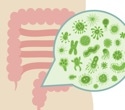 How Gut Fungi and Archaea Influence Human Health