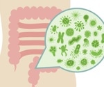 How Gut Fungi and Archaea Influence Human Health