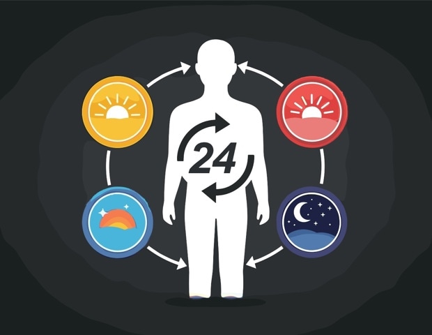 How Meal Timing Affects Metabolism and Weight Loss