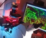 Multiplex Immunofluorescence Expands the Molecular Resolution of Clinical Pathology