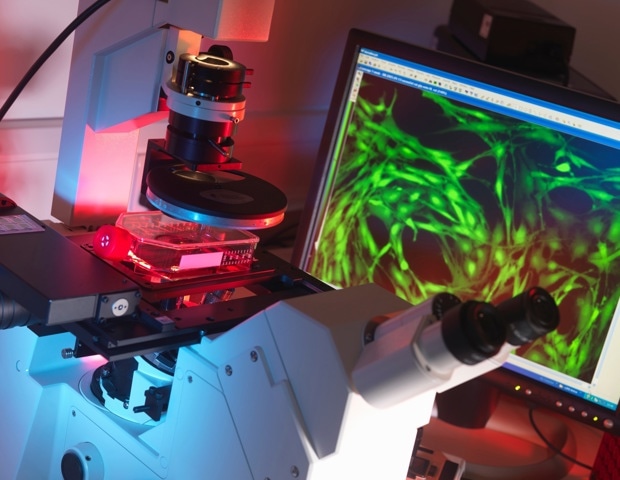 Multiplex Immunofluorescence Expands the Molecular Resolution of Clinical Pathology