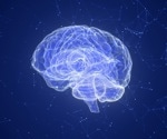How Immune Dysregulation Contributes to Psychiatric Disorders