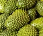 Soursop: Nutrition, Bioactive Compounds, and Human Health
