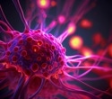 Cancer and the Nervous System: Tumor Growth, Metastasis, and Neurobiology