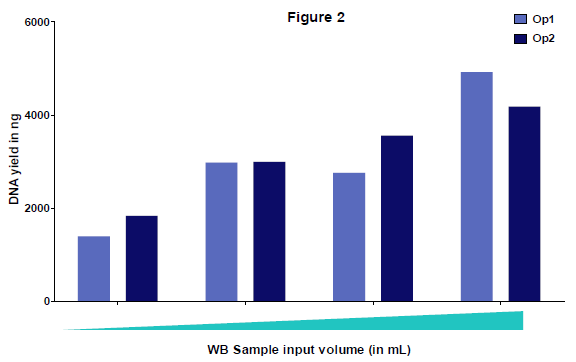 Validation results: optimized workflow for different volumes of WB sample input (from 0.5–4 mL). Isolation was performed by two different operators (Op1 and Op2). Isolated DNA yield improved with increasing sample volume. Results show that DNA yield was scalable or linear with the volume of sample input. The variation between the operators was due to the biological nature of the samples