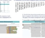 How to identify viral integration sites using CRISPR-Cas9