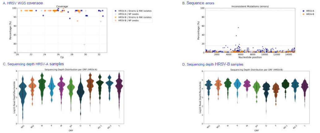 The HRSV WGS coverage for ATCC strains, NW isolates, strain dilutions and NP swabs (A). Sequencing errors for HRSV-A and HRSV-B (B). The violin plots summarize the read-depth distributions per nucleotide position for all HRSV-A (C) and HRSV-B (D) samples.