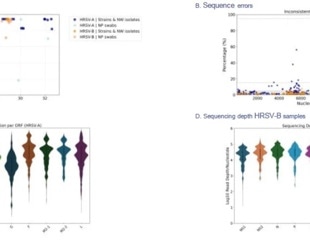 Whole-genome sequencing is transforming RSV surveillance in clinical research