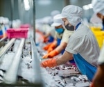 How Food Safety Technology Improves Monitoring Across Global Supply Chains